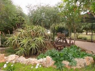 Garten-1